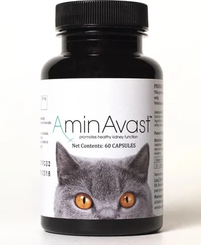 AminAvast Kočka 60 cps 1