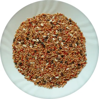 Avicentra Professional Agapornis 20 kg 1