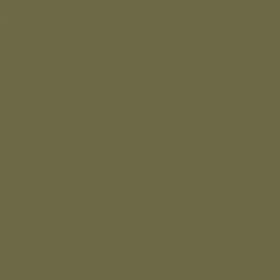 Derwent Watercolour pastelky 49 SAP GREEN 1