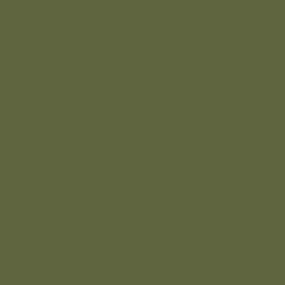 Derwent Watercolour pastelky 51 OLIVE GREEN 1