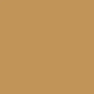 Derwent Watercolour pastelky 58 RAW SIENNA 1