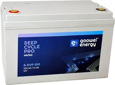 GOOWEI ENERGY 12V 100Ah 6-EVF-100 1