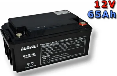 Goowei Energy OTL65-12 65Ah 12V 1