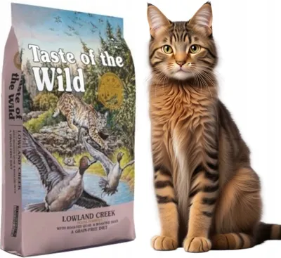 Taste of the Wild Lowland Creek 2 kg 1