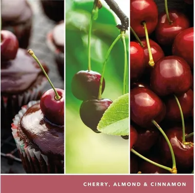 Yankee Candle Signature Black Cherry 567 g 1